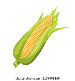 Sweet corn cob with leaves, flat style vector illustration isolated on white background