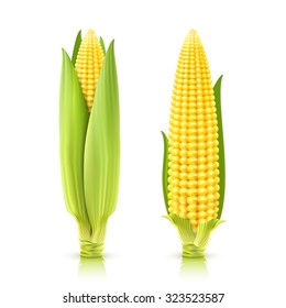 Sweet corn cobs realistic decorative icons set isolated vector illustration