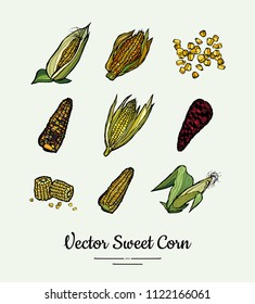 Sweet corn, corncobs, maize isolated groceries vector set. Fresh food line hand drawn illustration. Sweet corn yellow sketch isolated vegetables, vegetarian poster, label, logo, icon, sticker template