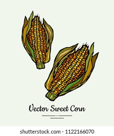 Sweet corn, corncobs, maize isolated groceries vector. Fresh food line hand drawn illustration. Sweet corn yellow sketch isolated vegetables, vegetarian poster, label, logo, icon, sticker template.