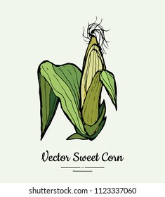 Sweet corn, corncobs, maize isolated groceries vector. Fresh food line hand drawn illustration. Sweet corn yellow sketch isolated vegetables, vegetarian poster, label, logo, icon, sticker template.