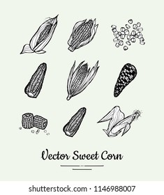 Sweet corn, corncobs, maize isolated groceries vector set for poster, label template. Fresh food line hand drawn illustration. Sweet corn black and white sketch isolated vegetables, vegetarian poster.