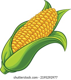 A sweet corn ear maize cob cartoon vegetable illustration