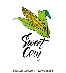 Sweet Corn hand drawn lettering food. Concept design for shop, market, book, menu, poster, banner