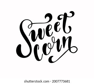 Sweet corn hand drawn text, design for shop, market, book, menu, banner. label sketch. Vector illustration.
