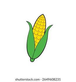 Sweet corn with husk pulled back fresh clean veggie look Vector illustration