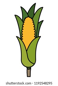 sweet corn isolated icon