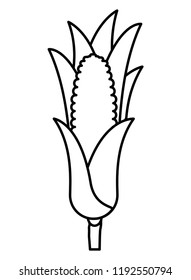 sweet corn isolated icon
