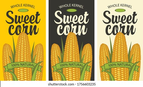 Sweet corn labels in retro style. A set of vector labels or banners for a whole sweet corn kernel with three corncobs and inscriptions on various backgrounds