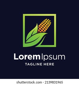 sweet corn logo with square concept