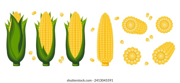 Sweet corn, corn on the cob with leaves, corn flakes and corn kernels. Icon set. Agriculture concept. Food icons, vector