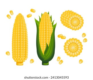 Sweet corn, corn on the cob with leaves, corn flakes and corn kernels. Icon set. Agriculture concept. Food icons, vector