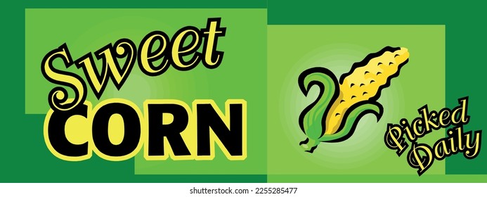 Sweet corn Picked Daily vector.  corn logo, corn advertising