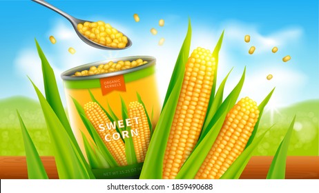 Sweet corn realistic vector advertising poster. Open tin can or conserve with golden yellow corn grains or maize, promo banner
