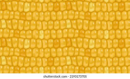 Sweet corn seamless pattern background for yellow page fill, wrapping paper. Fresh maize cob seamless texture. Healthy vegetarian food vegetable vector agricultural background