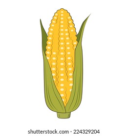 Sweet corn vector illustration