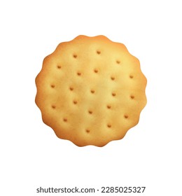 Sweet cracker cookie on white background realistic vector illustration