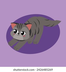 Sweet and cute Grey Cat Stretching