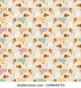 Sweet cute seamless repeat dachshund dog puppy pet animal vector flowers pattern on pastel background. Colourful dachshunds.