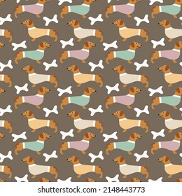  Sweet cute seamless repeat dachshund dog puppy pet animal vector pattern on dark brown pastel background. Colourful dachshunds.