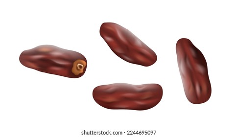 Sweet date fruits isolated on white background. Healthy dried dessert for vegan and vegetarian nutrition. Exotic Mediterranean berries for tasty snack. Realistic vector illustration