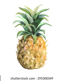 Sweet delicious pineapple