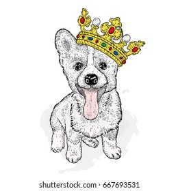 A sweet dog in a beautiful golden crown. Purebred puppy. Vector illustration for a postcard or a poster, print on clothes. Fashion and style, accessories.