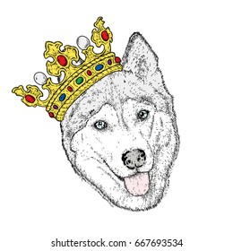 A sweet dog in a beautiful golden crown. Purebred puppy. Vector illustration for a postcard or a poster, print on clothes. Fashion and style, accessories. Husky.