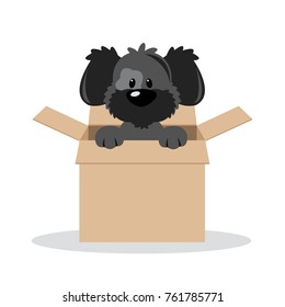 A sweet dog gets out of the box vector illustration