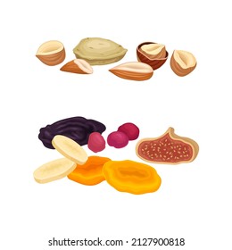 Sweet Dried Fruit with Fig and Shelled Nuts Vector Set