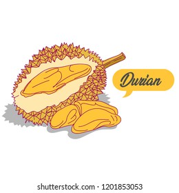Sweet Durian Fruit. EPS 10
