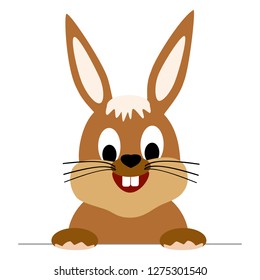 sweet easter bunny isolated