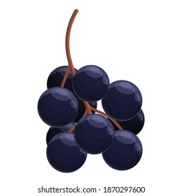 Sweet elderberry icon. Cartoon of sweet elderberry vector icon for web design isolated on white background