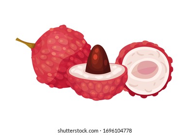 Sweet Flesh of Litchi Fruit in Rough Red Rind Vector Illustration