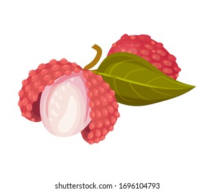 Sweet Flesh of Litchi Fruit in Rough Red Rind Vector Illustration