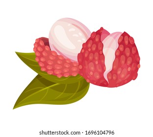 Sweet Flesh of Litchi Fruit in Rough Red Rind Vector Illustration