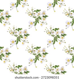 Sweet flower seamless pattern on white background. Seamless pattern for beauty products or other.