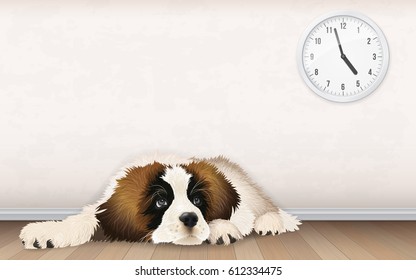 A sweet fluffy puppy is waiting for the owner to come home from work. A bored dog lies on a wooden floor.