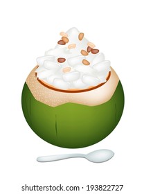 Sweet Food and Dessert, An Illustration of Coconut Ice Cream in Coconut Shell and Topped with Sweet Palm Candy and Roasted Peanuts. 