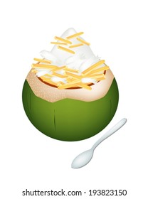 Sweet Food and Dessert, An Illustration of Coconut Ice Cream in Coconut Shell and Topped with Roasted Peanuts. 