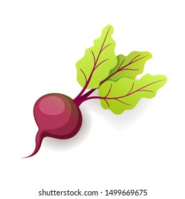 Sweet fresh beet with green leaf icon isolated, organic healthy food, vegetable, vector illustration