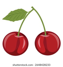 Sweet and fresh cherry berries with leaf, isolated vector illustration on a white background, hand drawn cherry icon