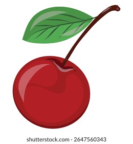Sweet and fresh cherry berry with leaf isolated vector illustration on a white background, hand drawn cherry