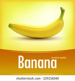 Sweet fresh yellow bananas vector illustration