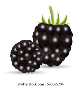 Sweet Fruit. Forest Berry. Blackberry Isolated On A White Background.