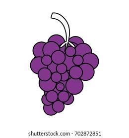 Sweet fruit grapes