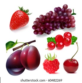 Sweet fruits. Vector illustration