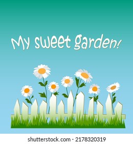 Sweet garden card, print or poster. white fence, green grass, chamomiles, blue background. Vector illustration. 