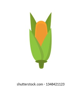 Sweet golden corn with green leaves  on white background