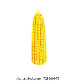 sweet golden corn vector illustration.